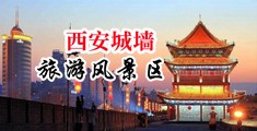 靠逼视频网站大全-强奸中国陕西-西安城墙旅游风景区
